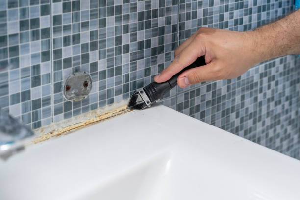Best Preventive Mold Services in Montrose, MN