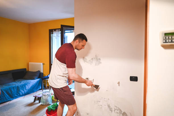 Best Insurance-Related Mold Remediation in Montrose, MN